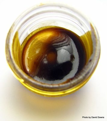 Buy Girl Scout Cookies Cannabis Oil