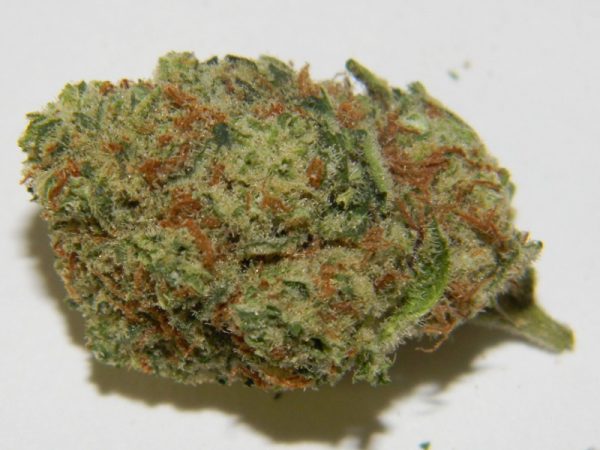 Casey Jones Strain